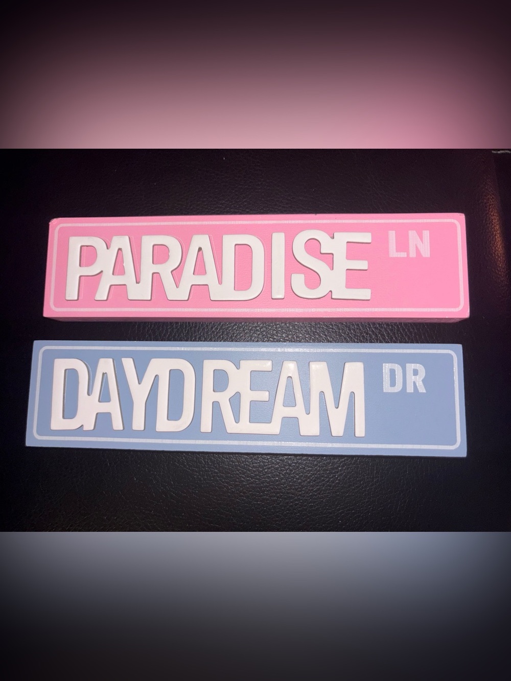 PARADISE LN & DAYDREAM DR Decorative Wall Signs - Pink and Blue
